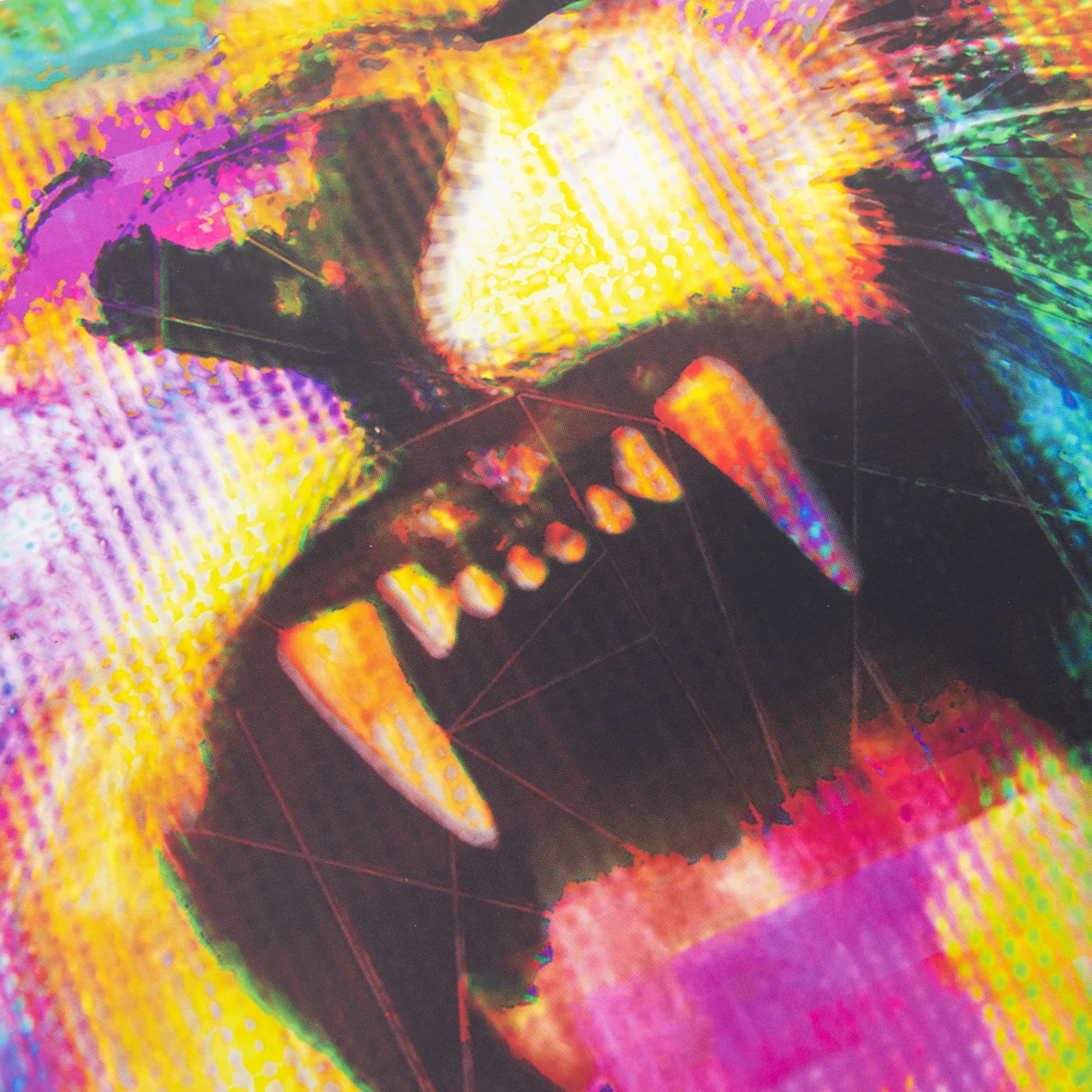 Eureka Vinyl - Image 3